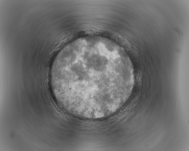 X0000112011012200908241450