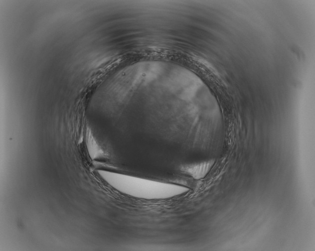 X0000112011013200908241450