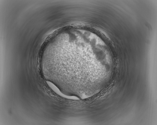 X0000112011016200908241450