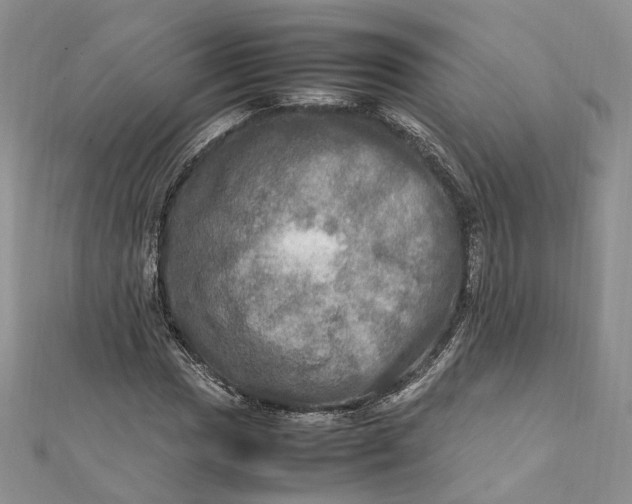 X0000112011017200908241450