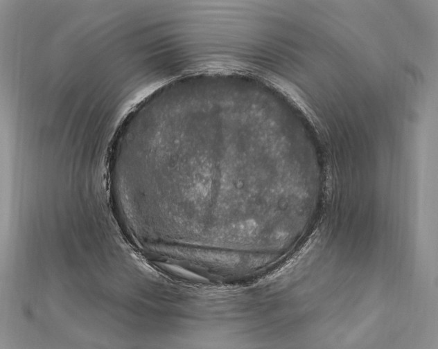 X0000112011018200908241450