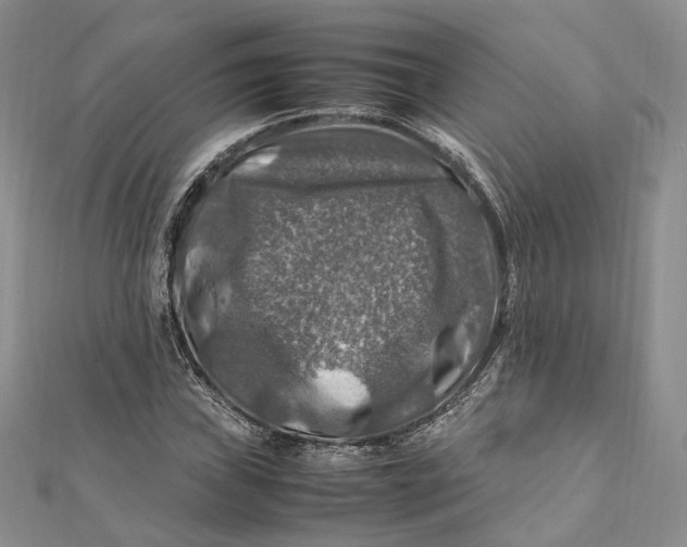 X0000112011019200908241450