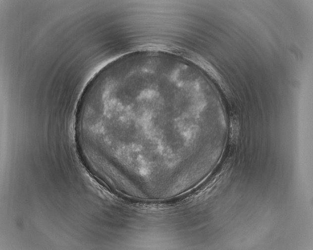 X0000112011020200908241450