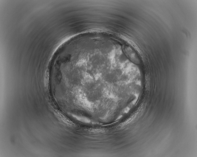 X0000112011021200908241450