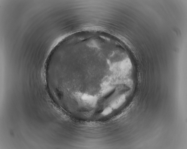 X0000112011022200908241450