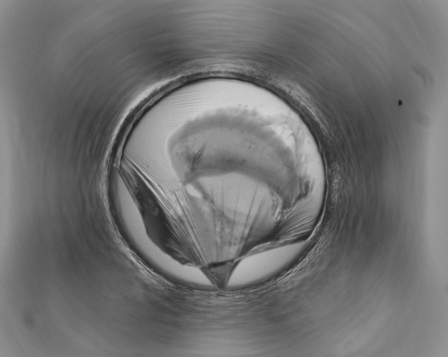 X0000112011024200908241450