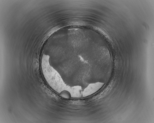 X0000112011025200908241450