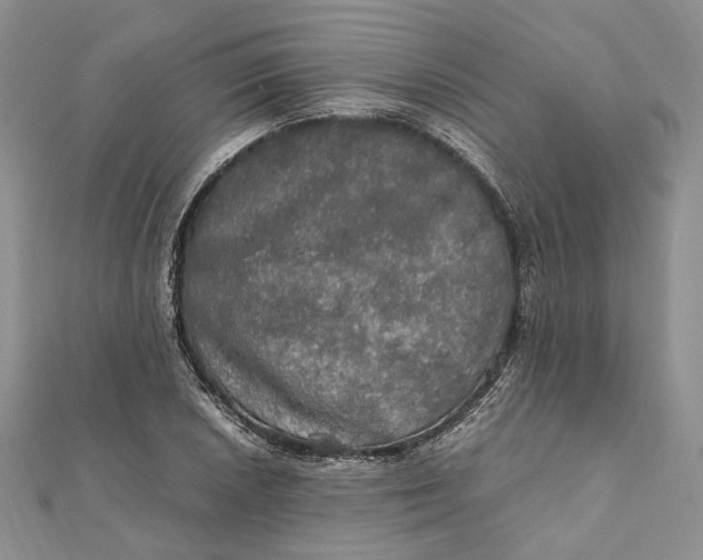 X0000112011026200908241450