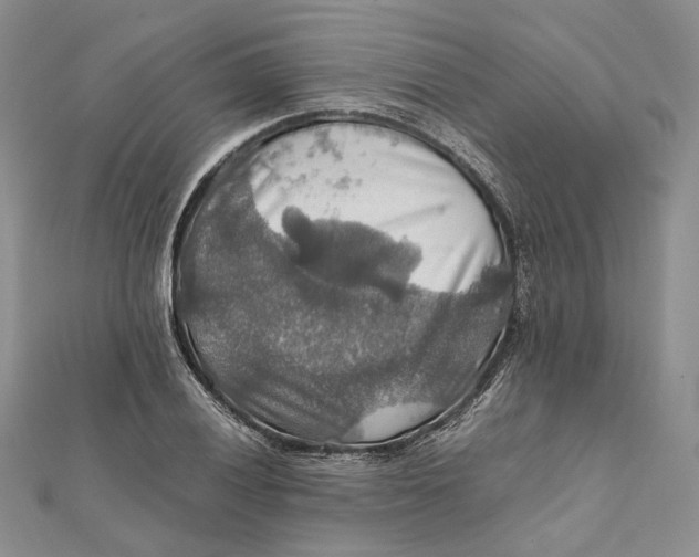 X0000112011028200908241450