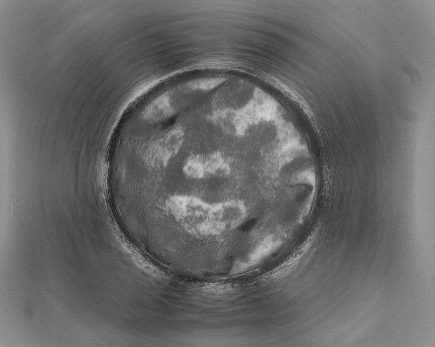 X0000112011029200908241450