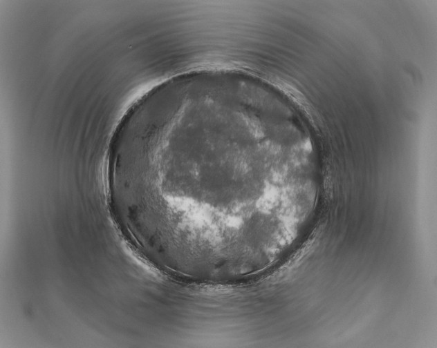 X0000112011030200908241450