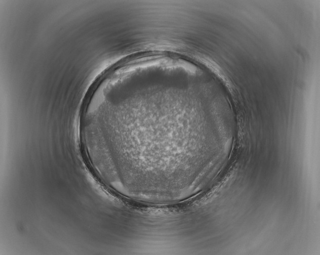 X0000112011032200908241450