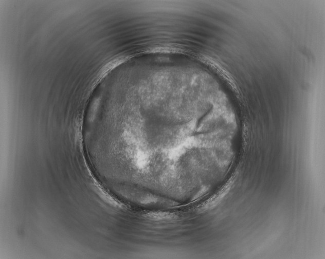 X0000112011033200908241450