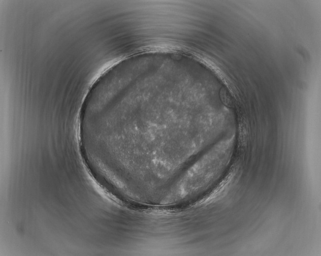 X0000112011034200908241450