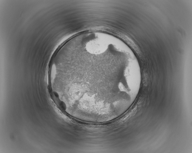 X0000112011036200908241450