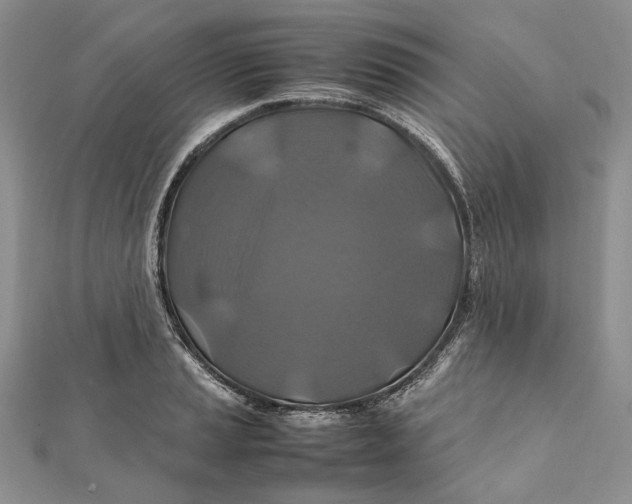 X0000112011037200908241450