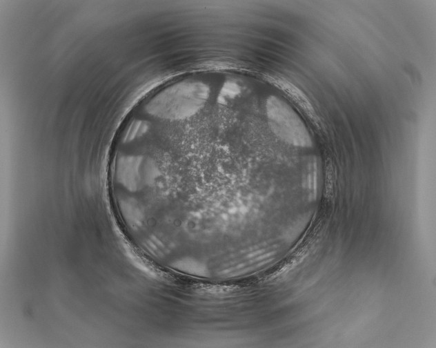 X0000112011039200908241450