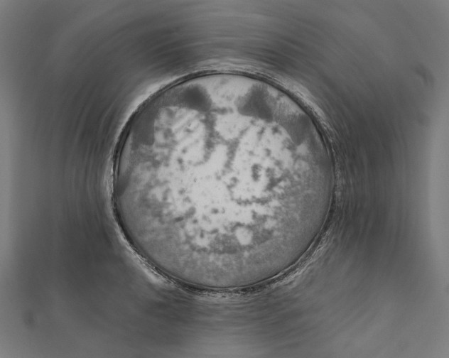 X0000112011040200908241450