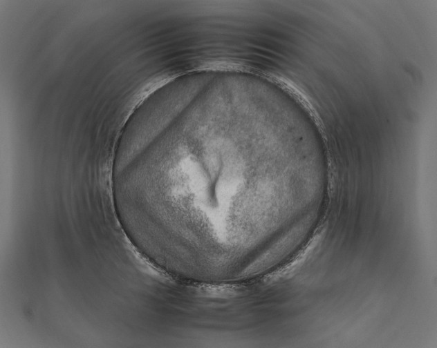 X0000112011041200908241450