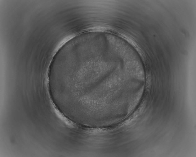 X0000112011042200908241450