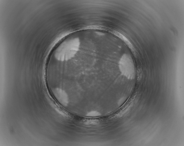 X0000112011043200908241450