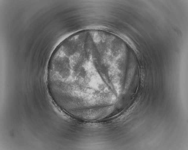 X0000112011044200908241450