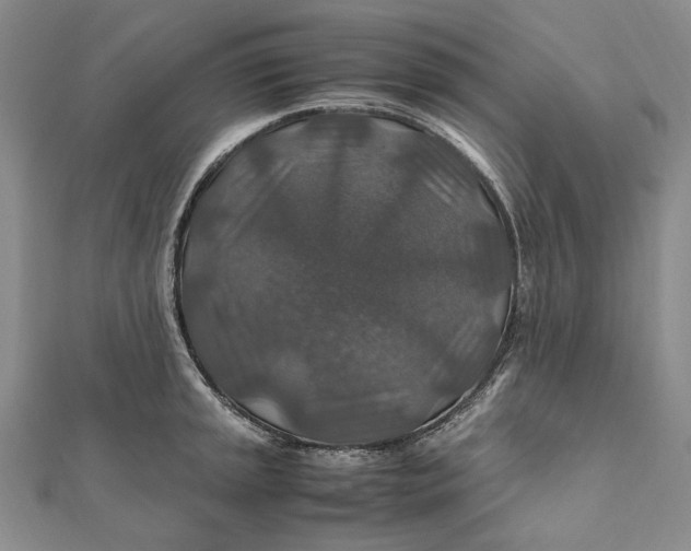 X0000112011045200908241450