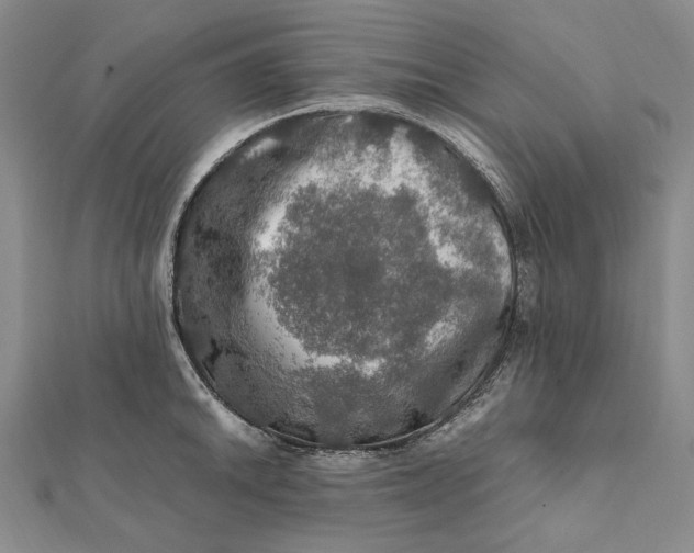 X0000112011046200908241450