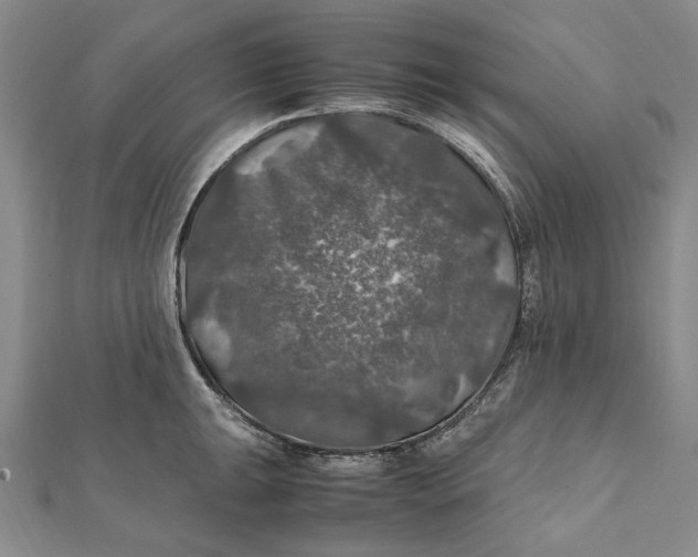 X0000112011047200908241450