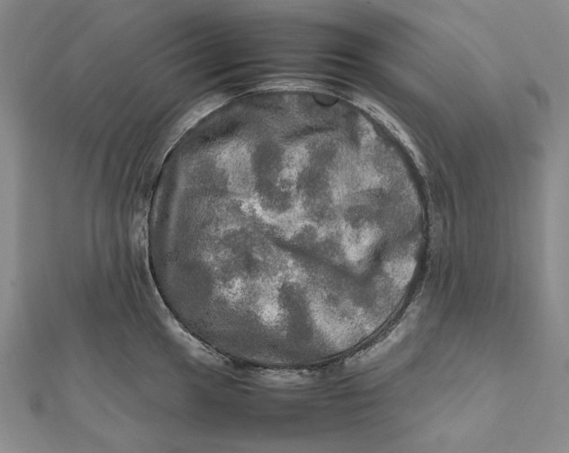 X0000112011049200908241450