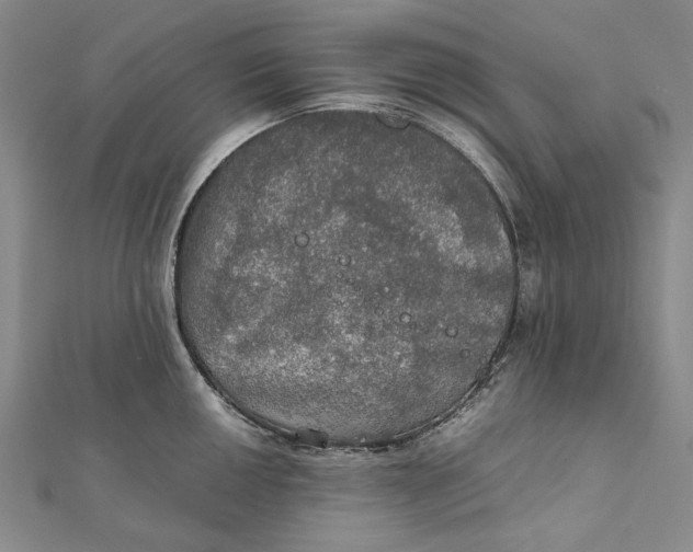 X0000112011050200908241450