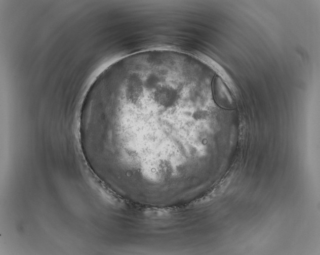 X0000112011051200908241450