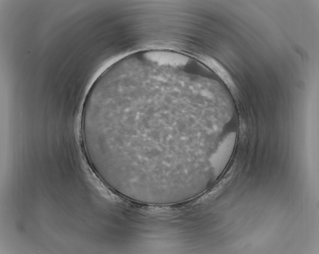 X0000112011052200908241450