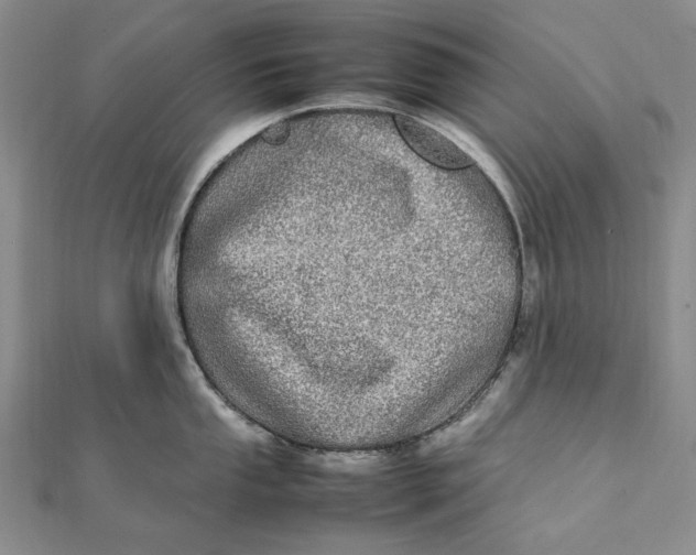 X0000112011053200908241450