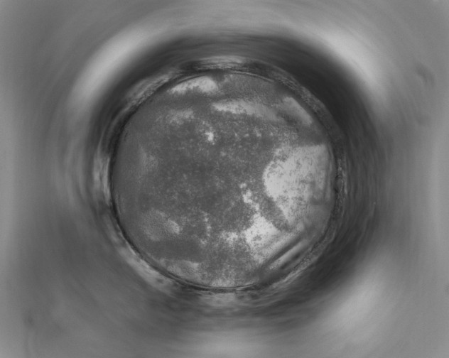 X0000112011054200908241450