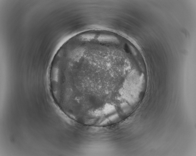 X0000112011056200908241450