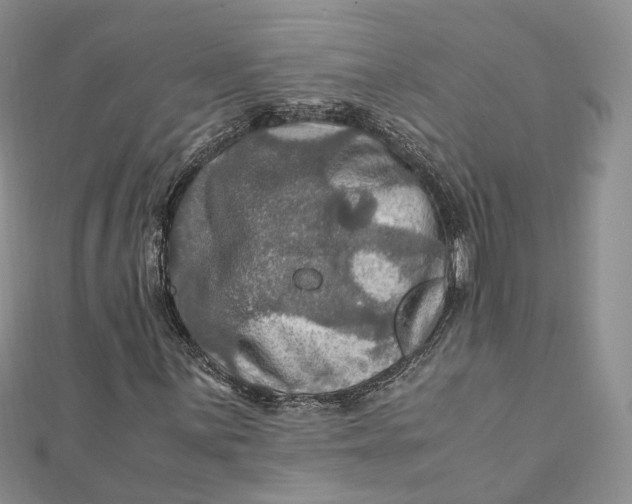 X0000112011059200908241450