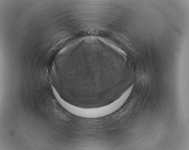 X0000112011060200908241450