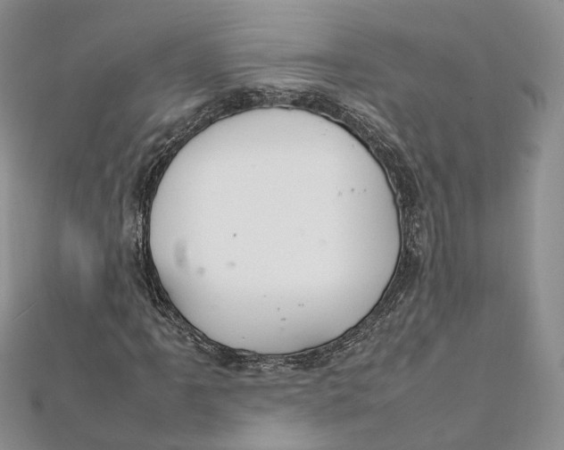 X0000112011061200908241450