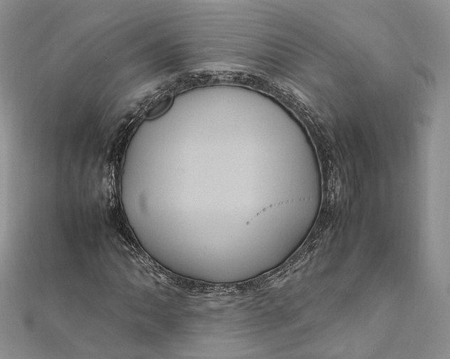 X0000112011062200908241450