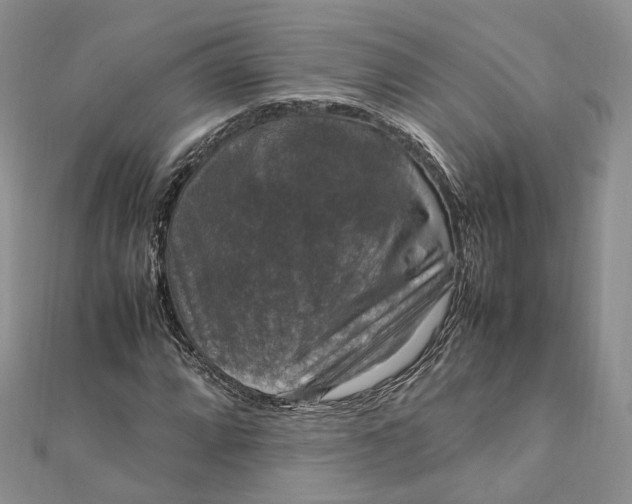 X0000112011064200908241450