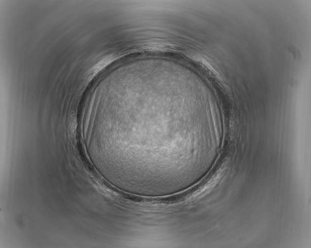 X0000112011065200908241450