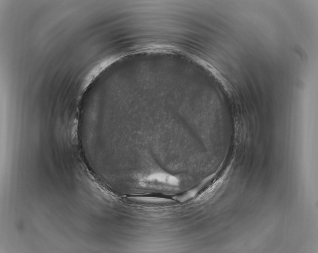 X0000112011066200908241450