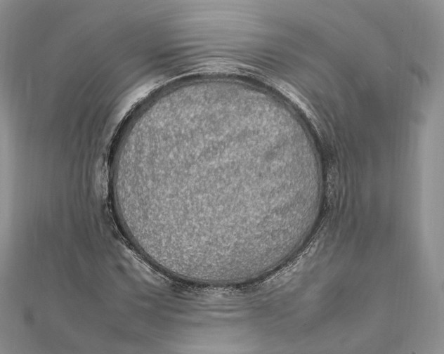 X0000112011067200908241450