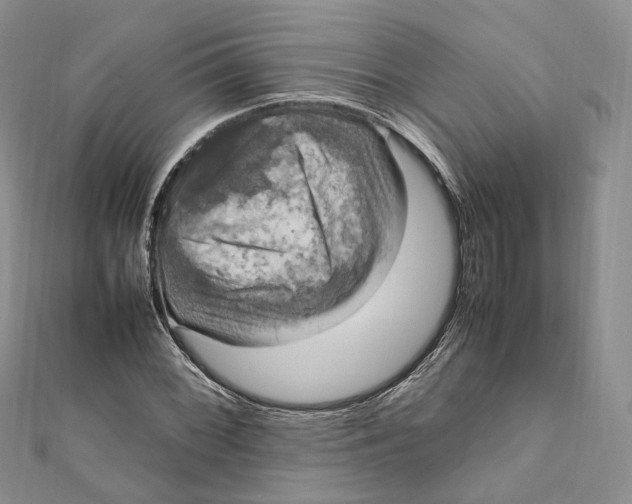 X0000112011068200908241449