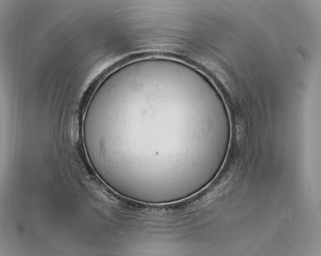 X0000112011069200908241449