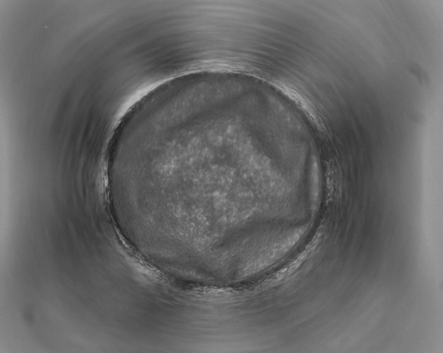 X0000112011070200908241449