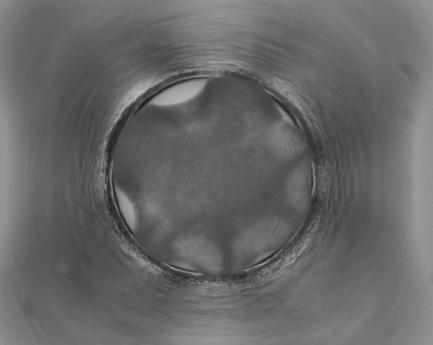 X0000112011071200908241449