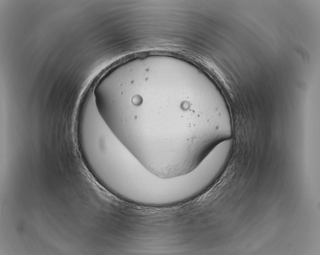 X0000112011072200908241449