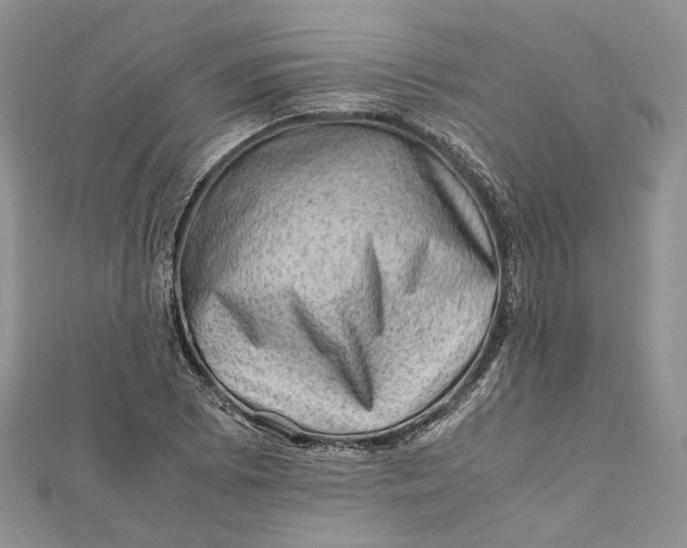 X0000112011073200908241449